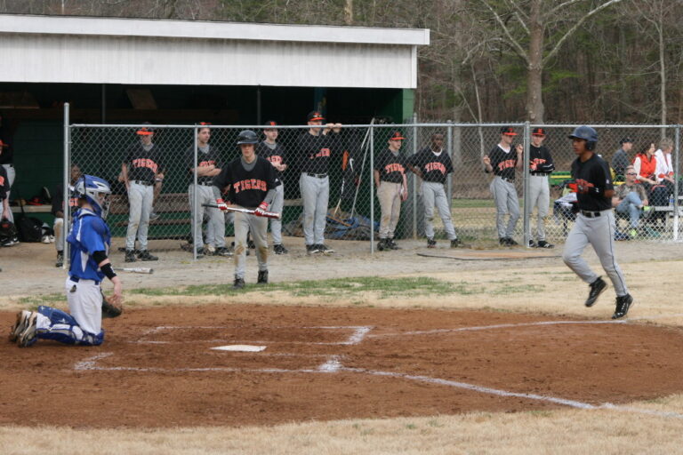 Tigers Bring in a Run