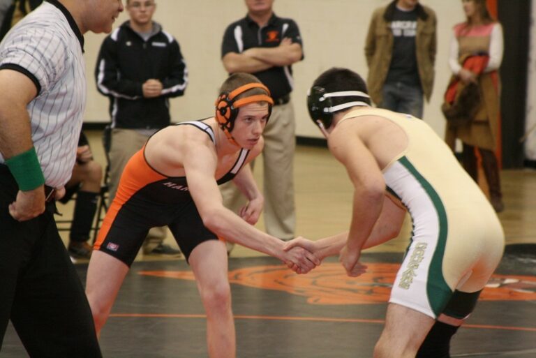 Wrestling