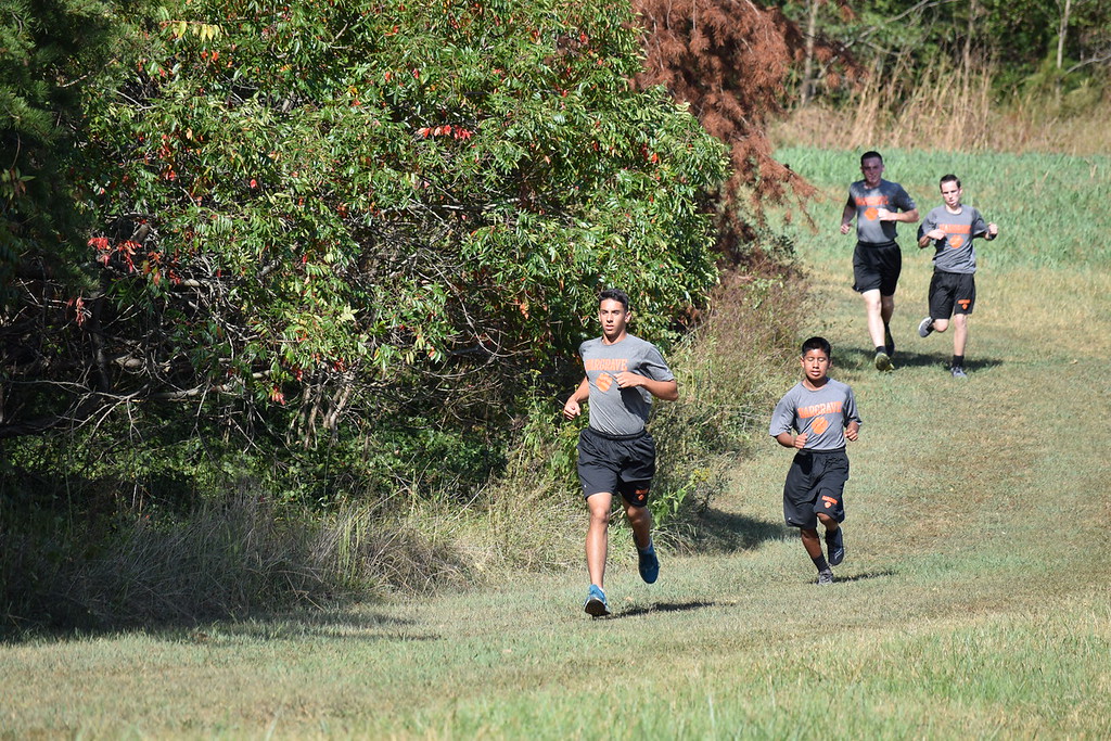 XC