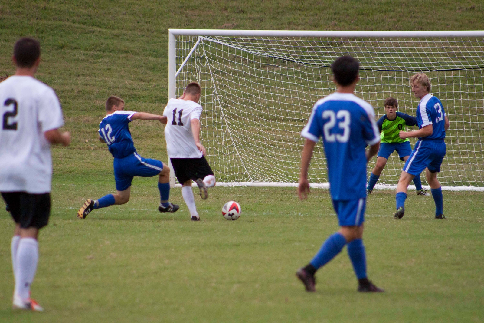 Gibbons2