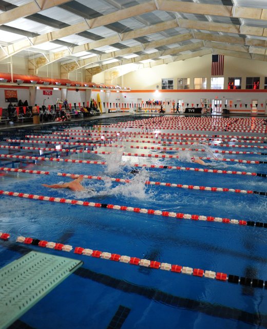 Swimmers in the pool.